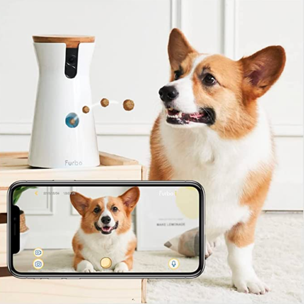 How to Stay Connected to Your Pet with the Furbo Dog Camera插图2