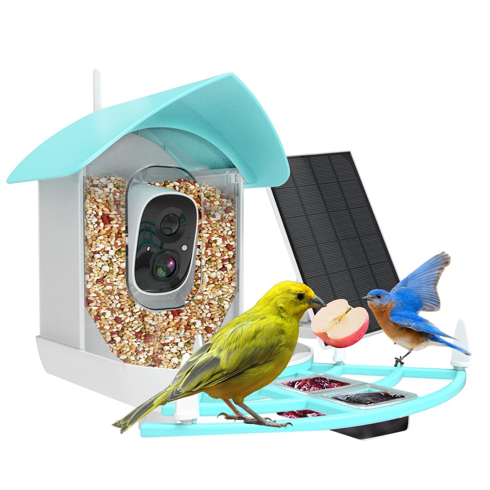 bird feeder camera