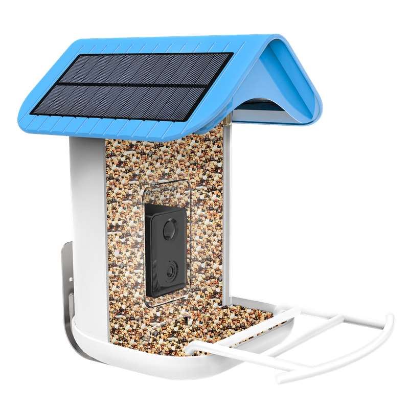 bird feeder camera